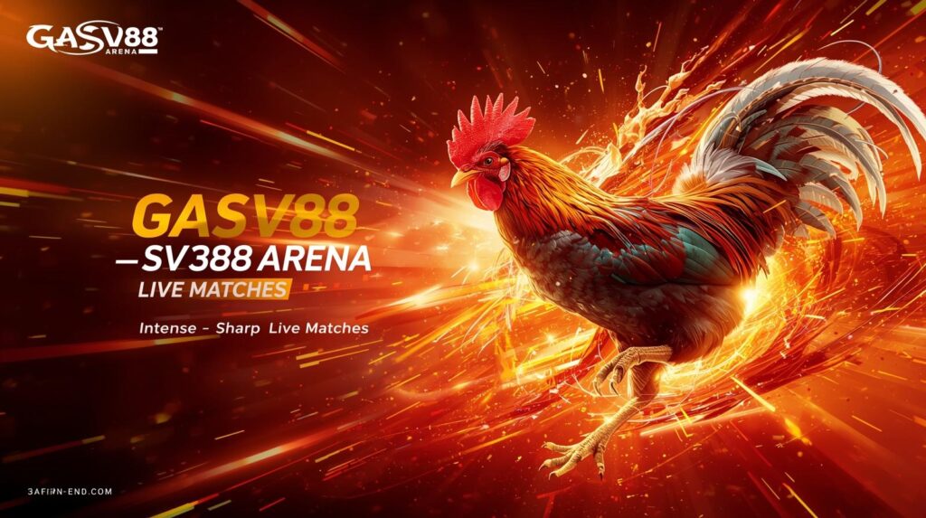 Đá Gà Trực Tiếp hoặc Thomo Live.