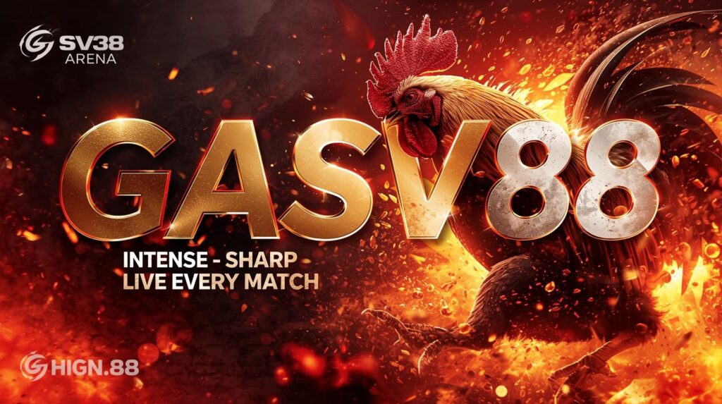 Đá Gà Trực Tiếp hoặc Thomo Live.